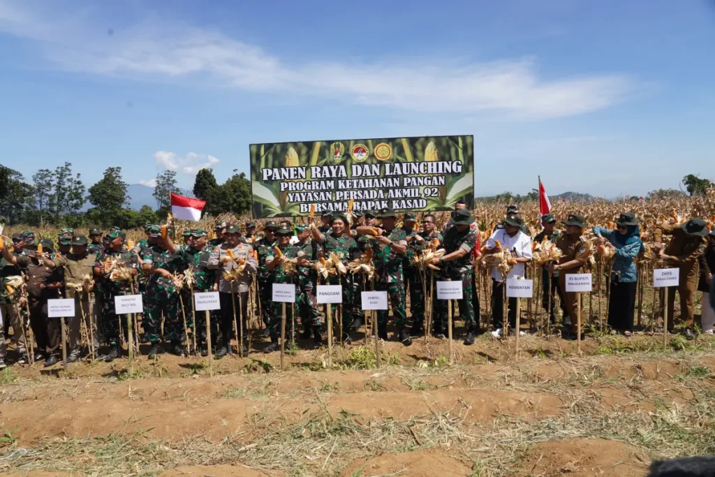 Panen raya jagung yayasan persada akmil 92 bersama warga dan kelompok tani
