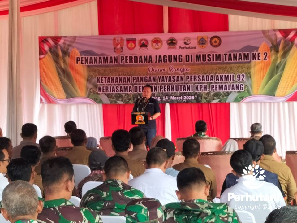 Perhutani dan Yayasan Persada Akmil 92 Bersinergi Tanam Jagung untuk Ketahanan Pangan